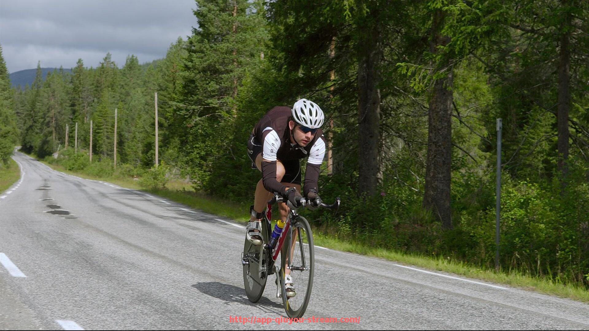 球友体育直播-德甲各球队管理模式分析：企业化与传统并存